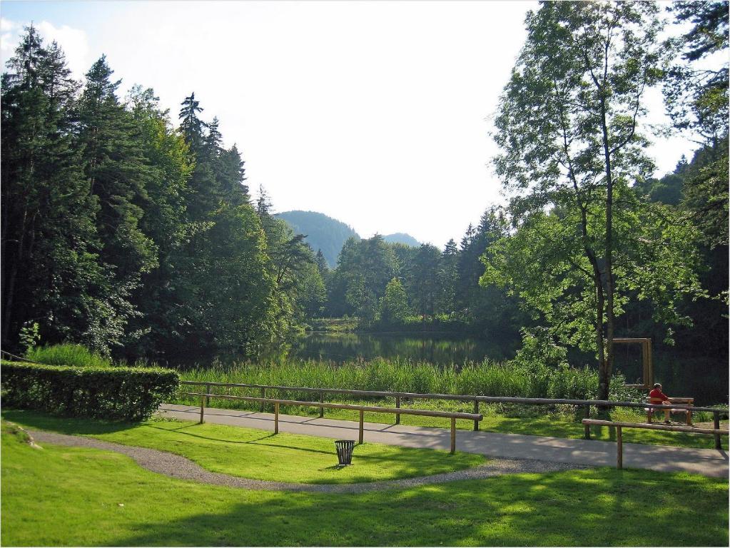Vital Wiedemann Füssen
